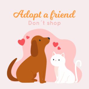 7 Amazing Secrets to Help Your Dog and Cat Become Best Friends: A Guide to Harmonious Coexistence