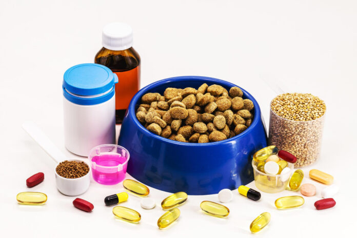 5 Homemade Vegan Food Formulas For Dog