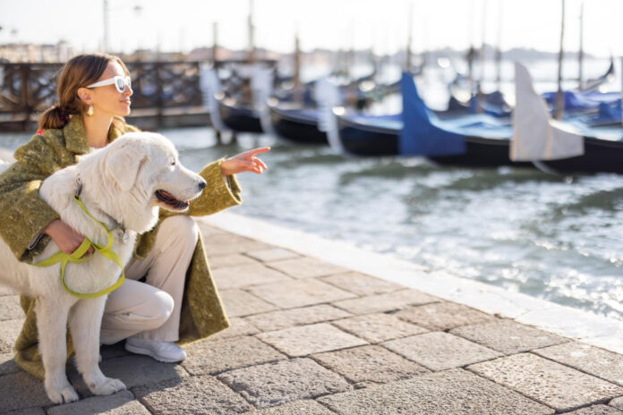 Is it Possible to Take Pets on Board a Yacht in Tenerife?