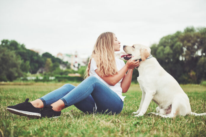 Dog Friendly Holiday Lets In Saltburn