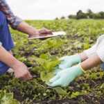 people farming together close up