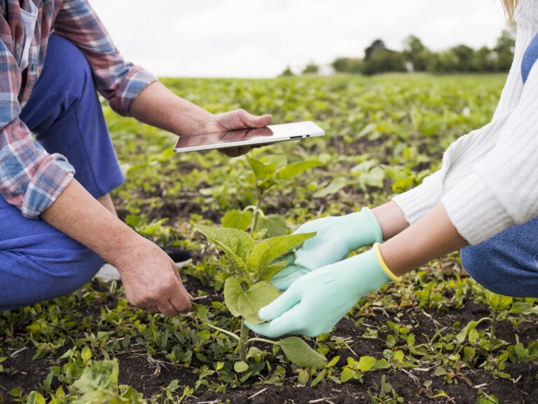 people farming together close up