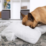 https://homeposts.net/think-your-small-business-is-too-small-for-whs-consulting-think-again.html